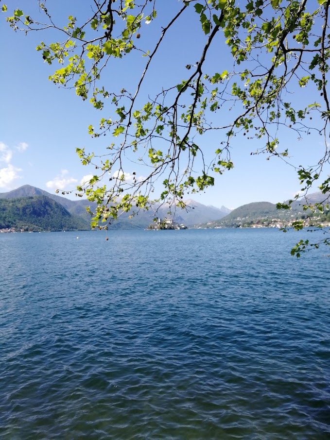 Tra i rami, l'isola — Lago d'Orta, fotografia di Patrizia Franzina
